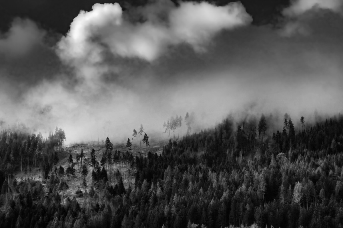 Alto Adige